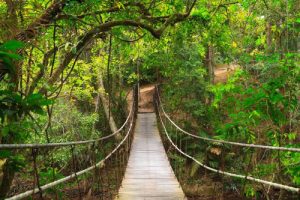 Khao Yai National Park