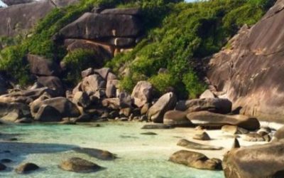 Similan 1 day classic