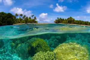 Snorkeling Raya